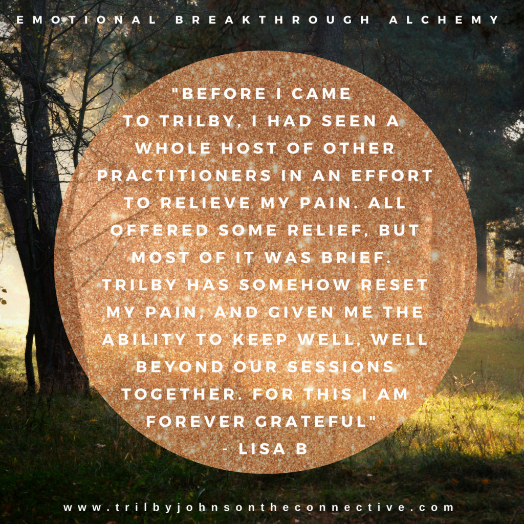 lisa b testimonial