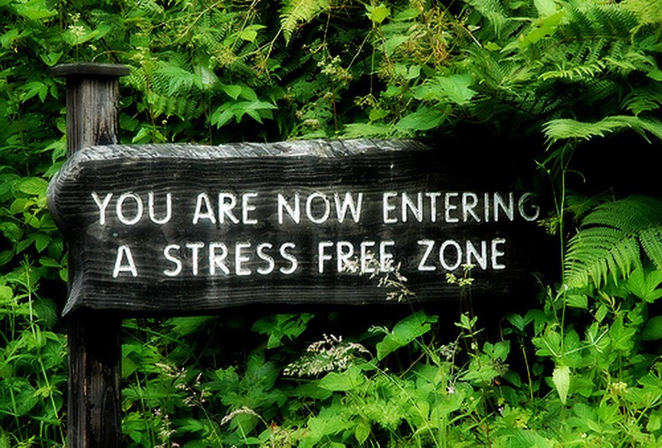 stressfreezone