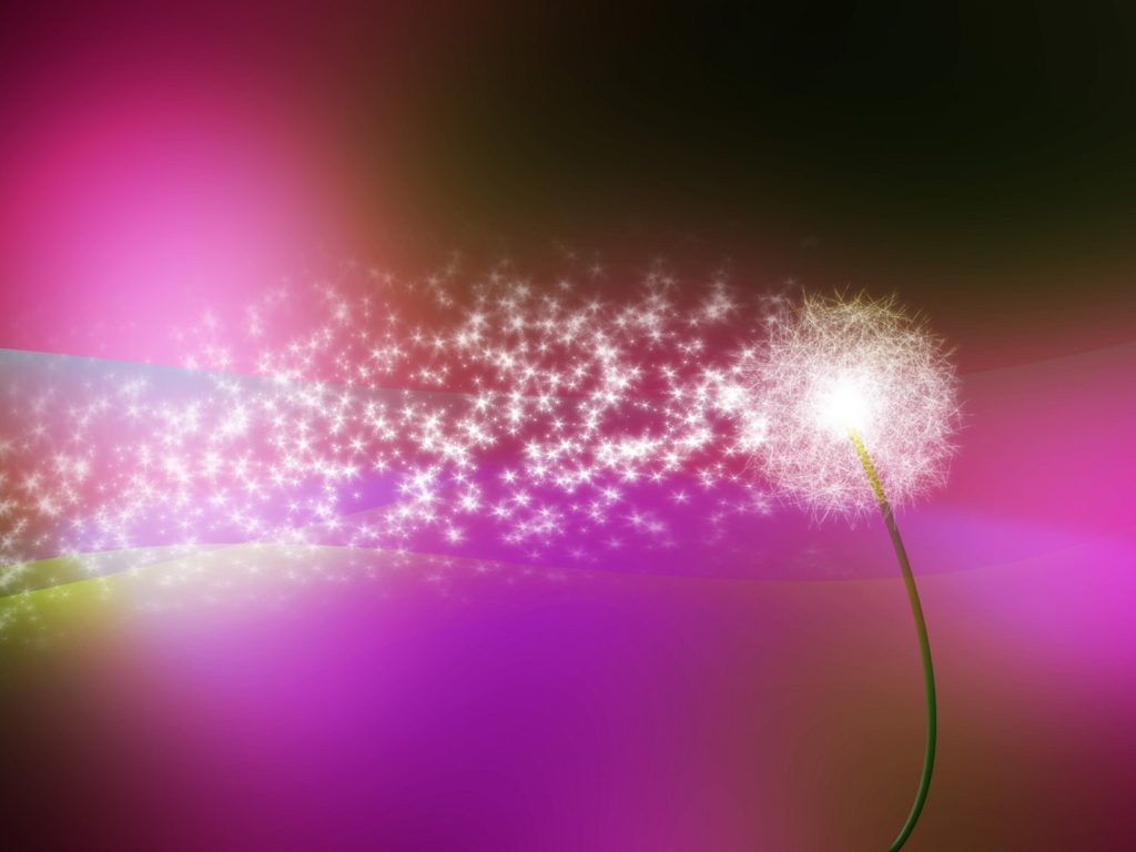 Dandelion_light_017