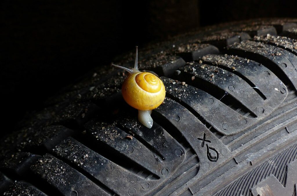 Your Home Is Your Body